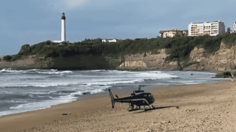 swept away by the current, a group of swimmers barely rescued