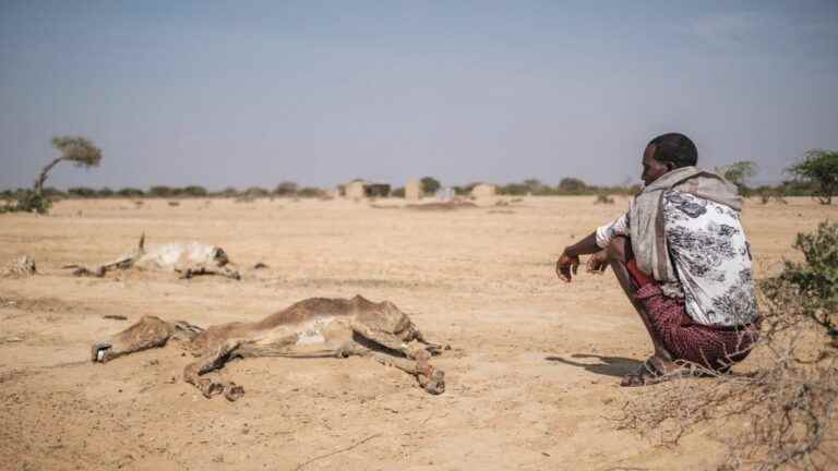 the Horn of Africa is preparing for a difficult 5th rainy season