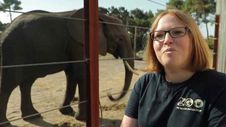 the animals are back at La Teste-de-Buch zoo