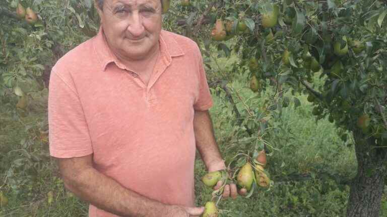 the arboriculturists of the Gier valley do the accounts