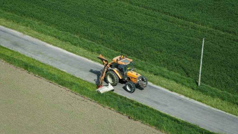 the benefits and risks of late mowing