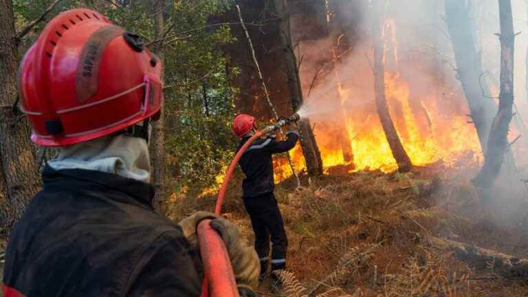 the fatigue of firefighters in the face of the fire in the Brocéliande forest