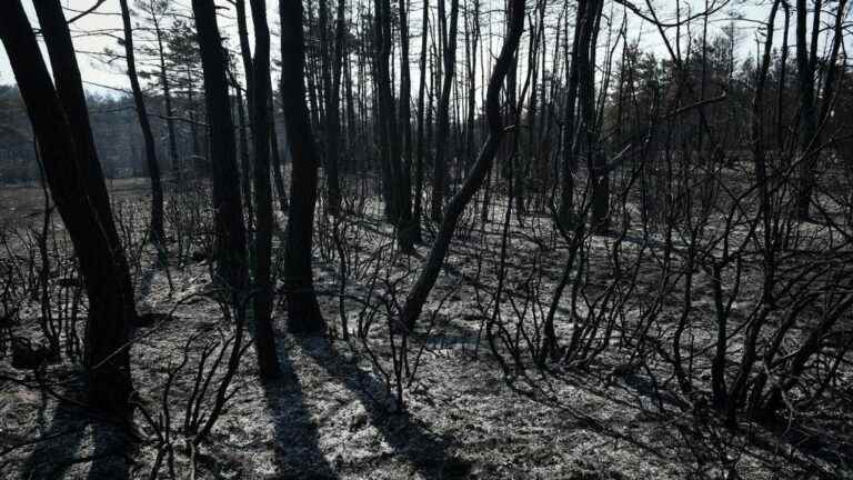 the fire between Lozère and Aveyron is fixed, most of the evacuees will be able to return to their homes