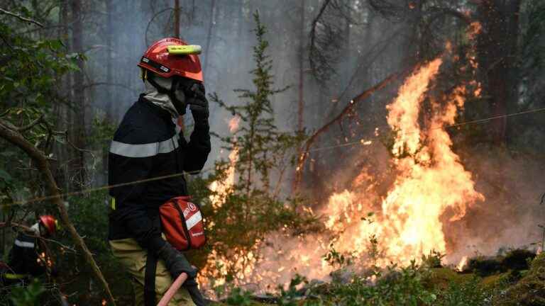 the fire resumes, 50 hectares more burned