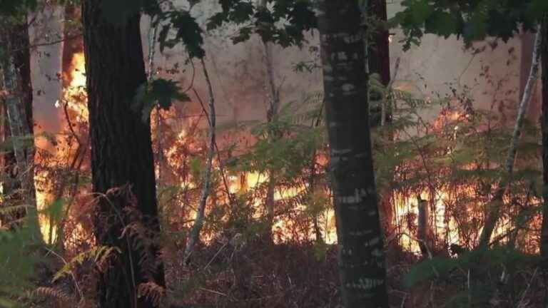 the fires contained after a resumption in the afternoon