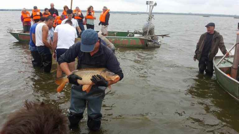 the fishing is good despite the shallow water