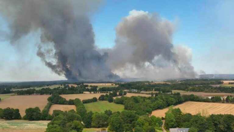 the forest of Brocéliande ravaged by flames