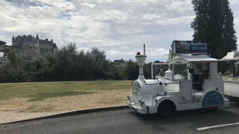 the little tourist train, a holiday classic