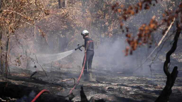 the mayor of La Teste-de-Buch prohibits access to the forest which was ravaged by flames in July