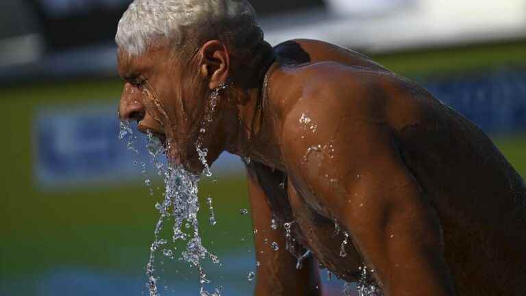 the strange day of Yohann Ndoye Brouard, forced to swim alone to qualify for the final of the 200 meters backstroke