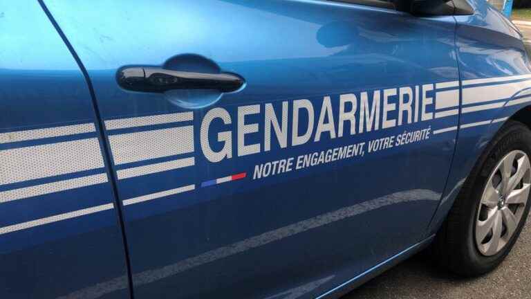 thefts by trickery at ticket machines in Béarn and Bigorre