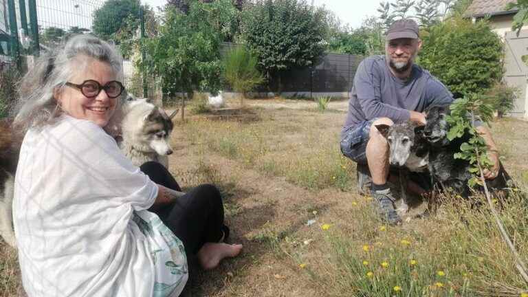 they found a soul mate thanks to their love of dogs