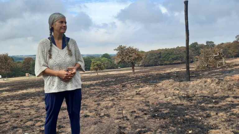 this resident of Campénéac lost half of her property