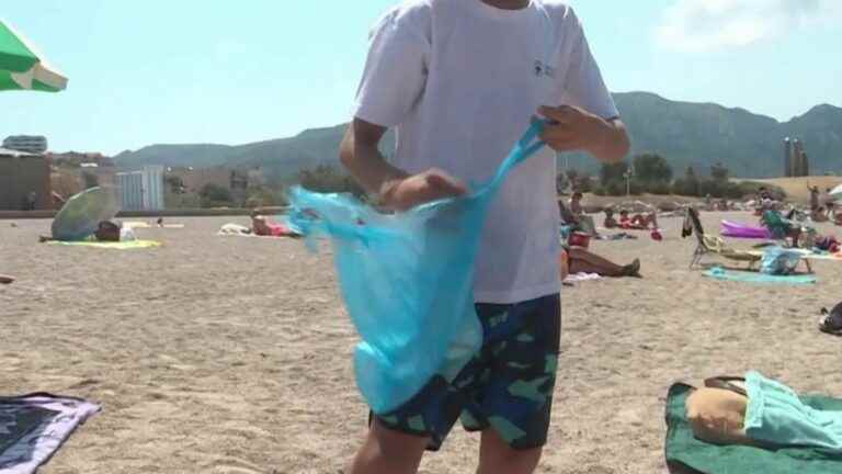 volunteers clean the beaches of Marseille