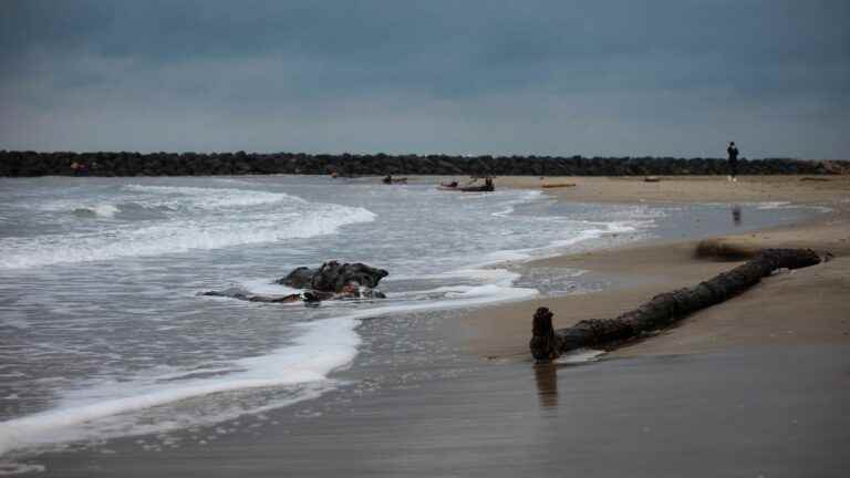 we explain to you why the warming of the Mediterranean Sea will accentuate extreme phenomena