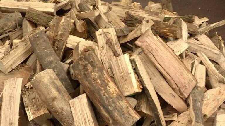 wood victim of its success, suppliers are struggling to keep up