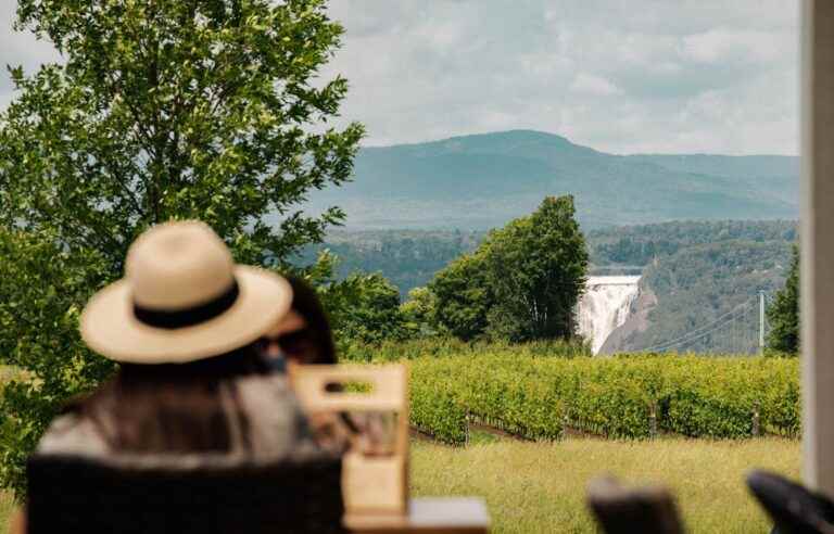 ​Visit the vineyards of Quebec with your family