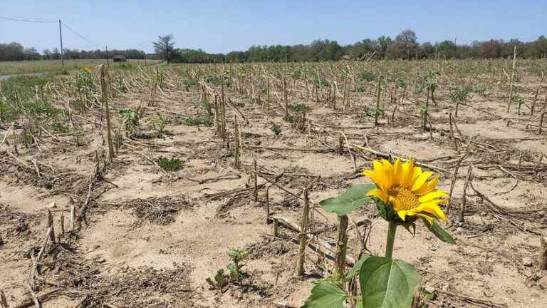 120 million euros of loss “unheard of” for agriculture in the Dordogne