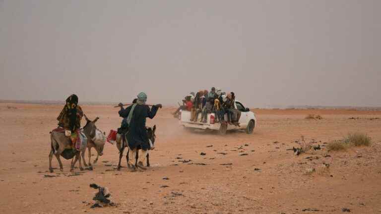 50 migrants including ten children “in distress” rescued in the middle of the desert in Agadez