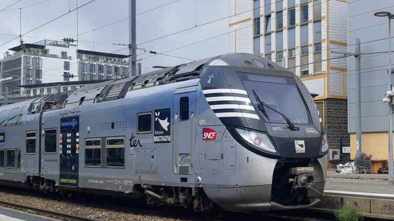 A man dies hit by a TER near Rennes