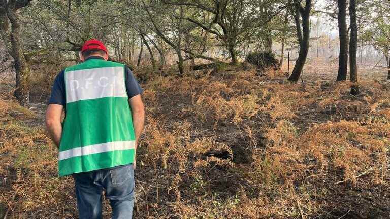 A new start of fire in the Double forest in the Dordogne quickly brought under control by the firefighters