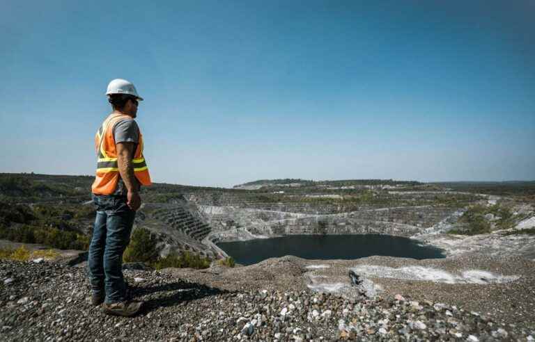 Abandoned mining sites are transformed into huge carbon sinks