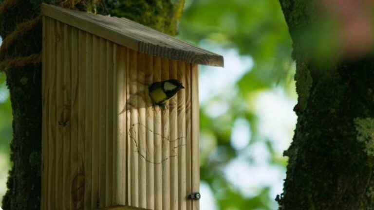 Acting together for biodiversity with the LPO Drôme Ardèche