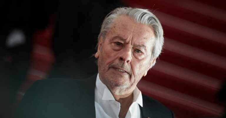 Alain Delon facing the death of his wife Nathalie: their last reunion revealed, emotional sequence