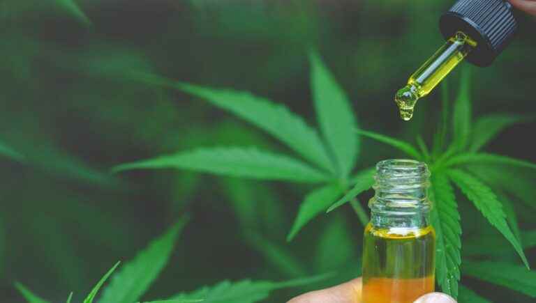 All about CBD