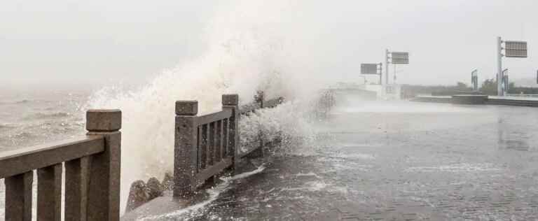 All flights canceled in Shanghai as typhoon approaches