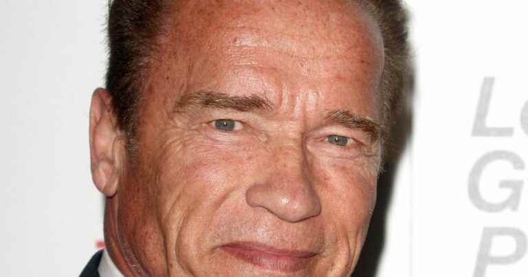 Arnold Schwarzenegger: His son Christopher has completely melted, new silhouette revealed with the family