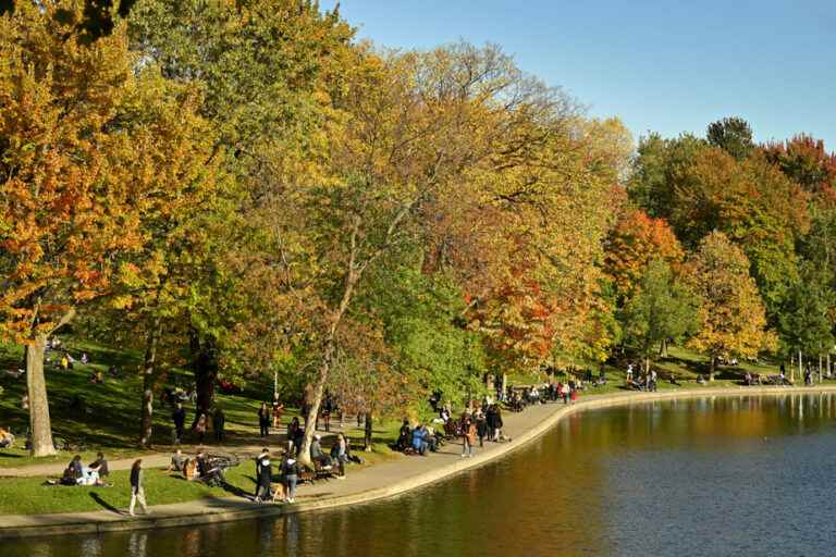 Beautiful colors and warm weather for fall