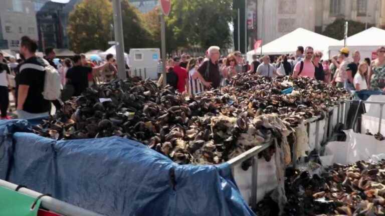 Braderie de Lille: time for major cleaning