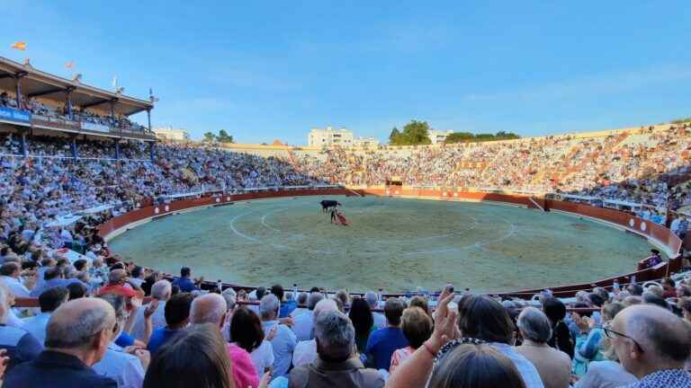 “Bullfighting is a popular practice, which will probably disappear on its own”