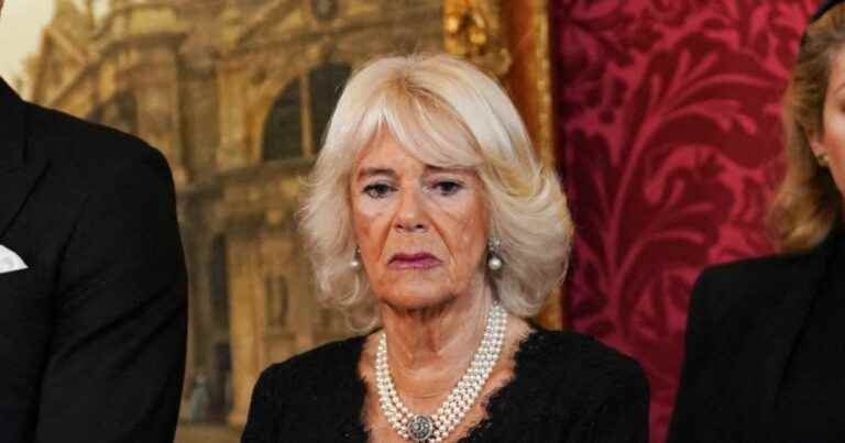 Camilla hated queen consort?  His terrible words towards Diana remain in memory