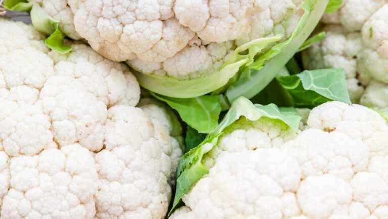 Cauliflower, celery… We’re starting to cook winter vegetables with Karine Lépine