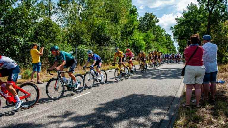 Clément Champoussin escaped with two other riders… Follow the 17th stage