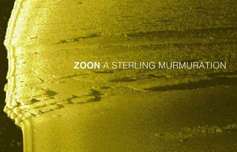 [Critique] “A Sterling Murmuration”, Zoon