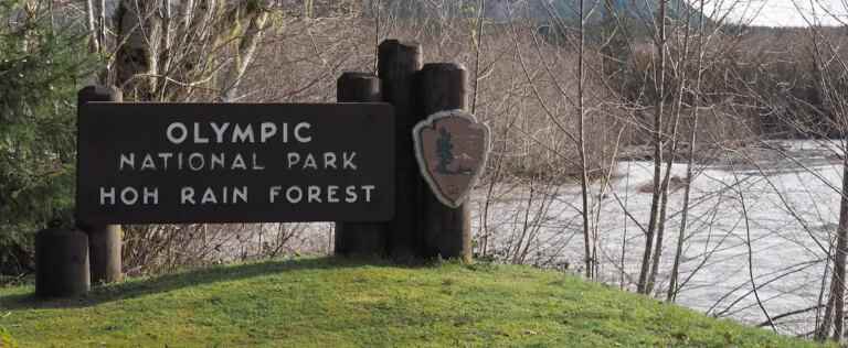 Crushed fatally by a tree while camping