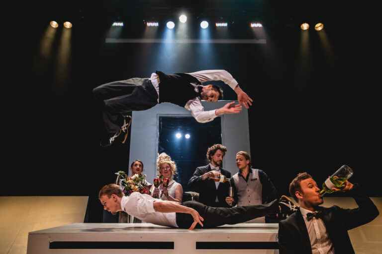 Cultural return |  Five circus shows to see