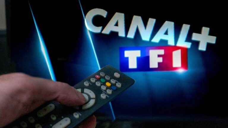 Culture Minister Rima Abdul Malak asks Canal+ to restore broadcasting of TF1 channels