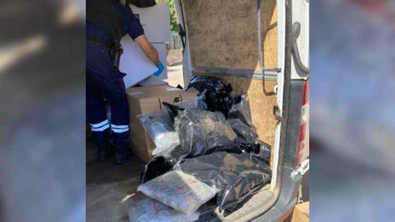 Customs officers seize nearly 450 kg of herbal cannabis on the A9 in Narbonne