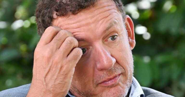 Dany Boon: Terrible secrets about the childhood of his son Noé who “was attacked” because of him