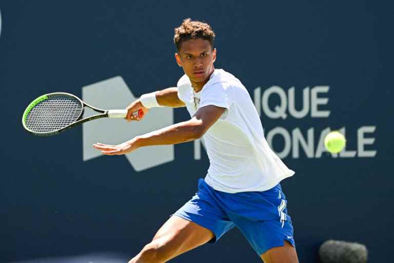 Davis Cup |  Gabriel Diallo exceeded his expectations