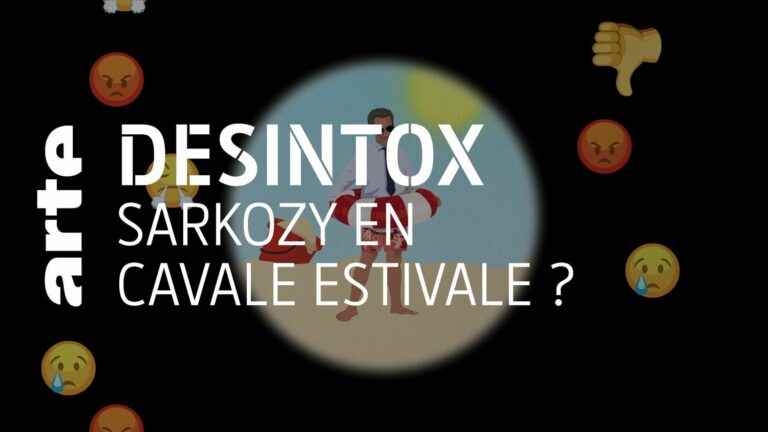 Detox.  Yes, Nicolas Sarkozy was authorized to leave French territory in July, despite his conviction in the Bygmalion case