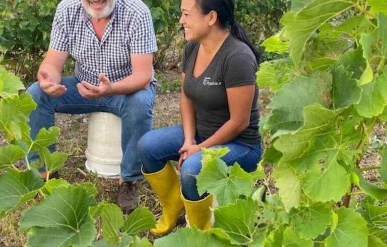 Discussion between two generations of winegrowers