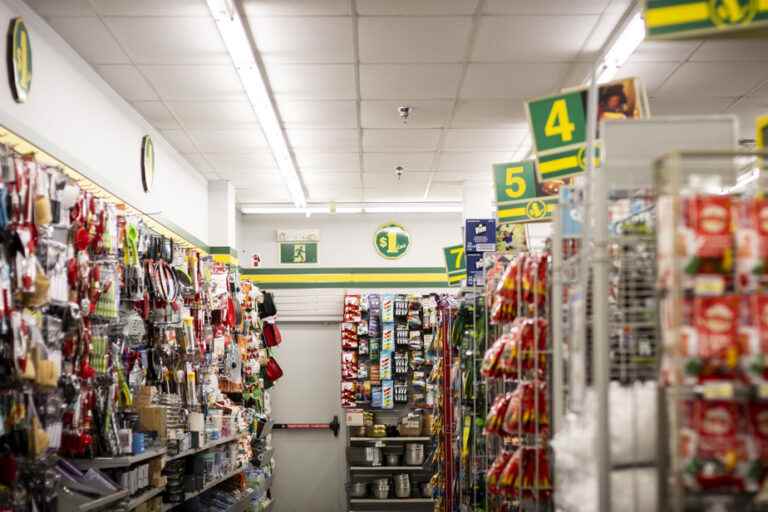 Dollar Stores |  Toxic products found in many articles