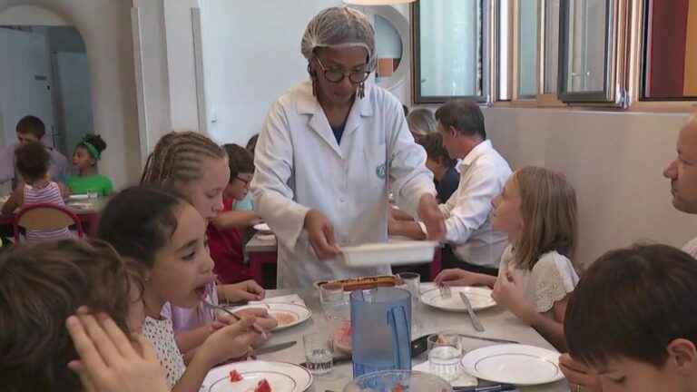 Ecology: the vegetarian menu of Grenoble schools is not unanimous