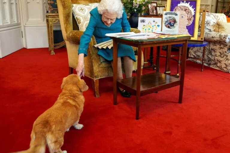 Elizabeth II’s famous corgis are adopted by her son Andrew