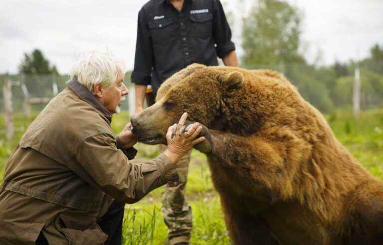 “Film Beasts”: The Lives of Film Animals